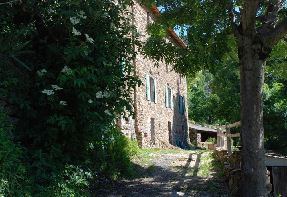 Gite De Fontfouillouse Les Plantiers Екстер'єр фото